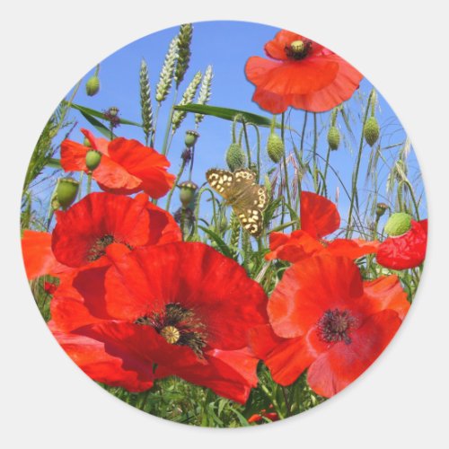 Pretty Poppy Field with Butterfly Classic Round Sticker
