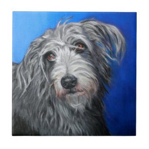 'Pretty Poppy' - Lurcher girl Tile