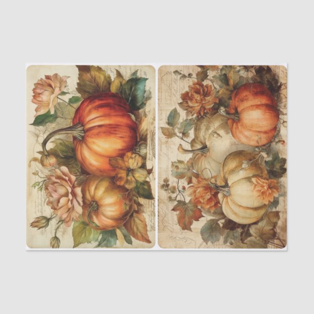 Pretty Pretty Pumpkins Tissue Paper (Front)