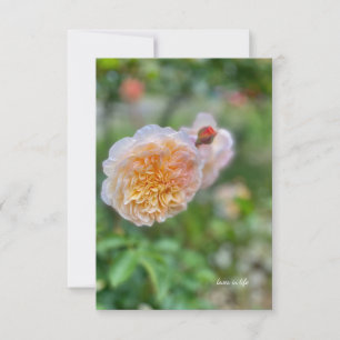 Pretty Pretty Rose Note Card