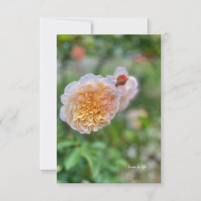 Pretty Pretty Rose Note Card (Front)