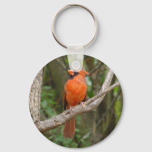 Pretty Profile Northern Cardinal Bird Keychain