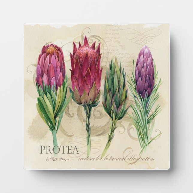 Pretty Protea Plaque (Front)