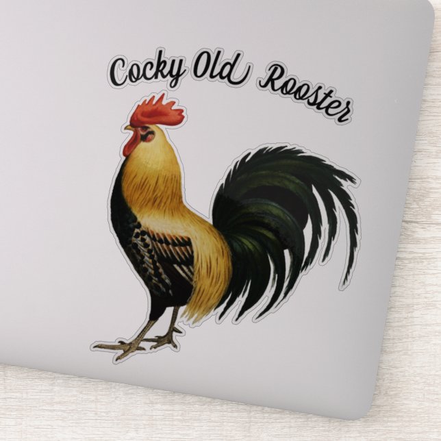 Pretty Proud Rooster Sticker (Detail)
