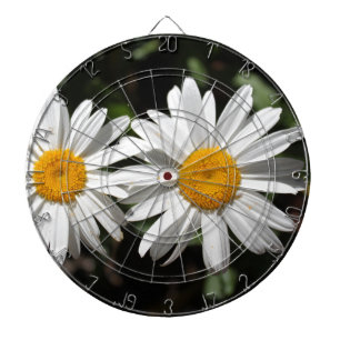 Pretty pure white daisy flowers dart board