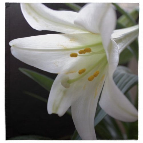 Pretty pure white Easter lily flower in black Napkin