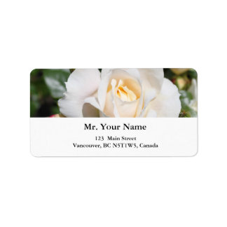 pretty pure white rose flowers. love, romance label