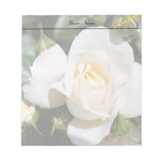 pretty pure white rose flowers. love, romance notepad