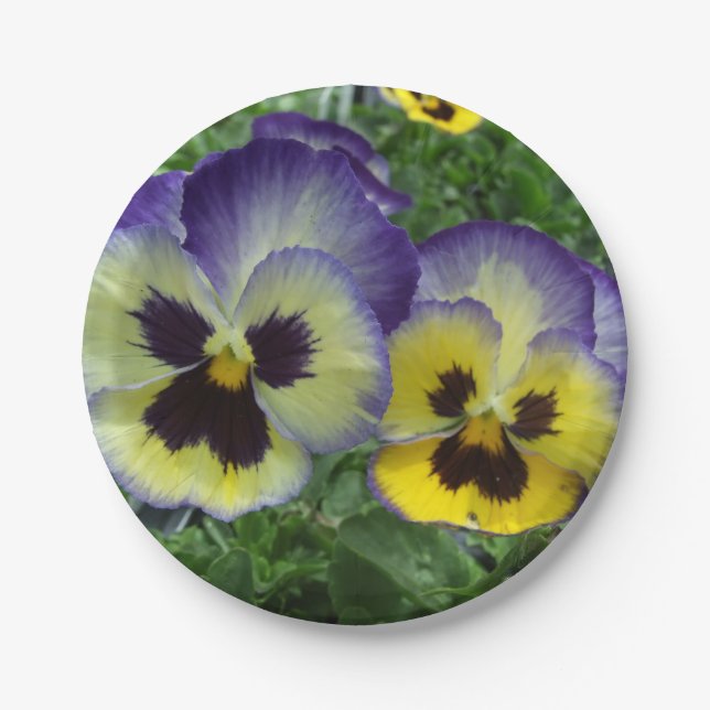 Pretty, Purple and Yellow Pansies, Custom, Wedding Paper Plates (Front)