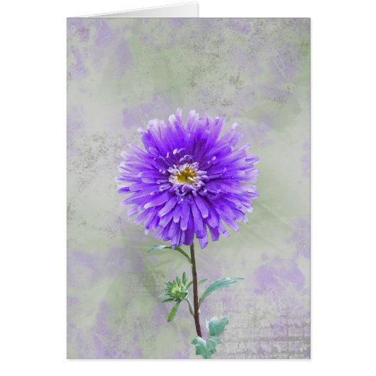 Pretty Purple Cards (Front)