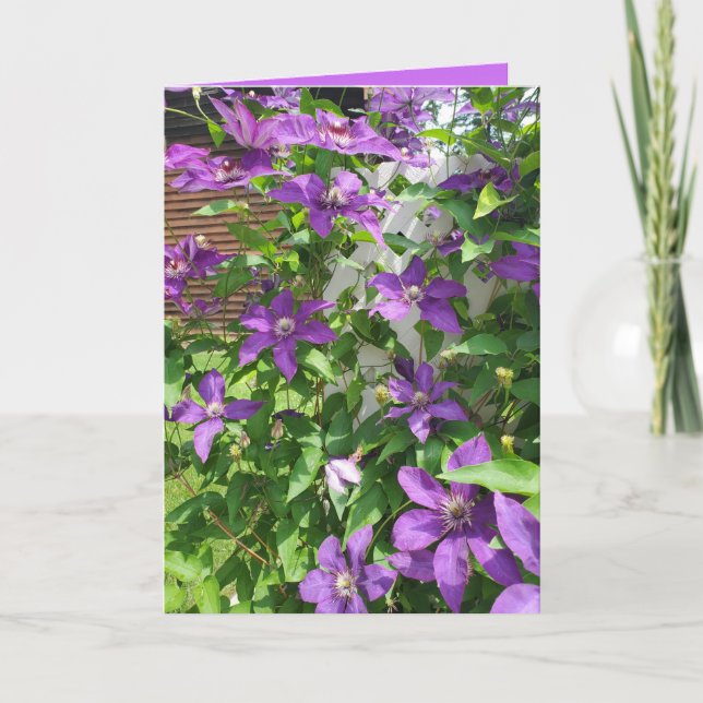 Pretty Purple Clematis Floral Blank Card (Front)