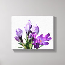 Pretty purple crocus floral modern floral digital