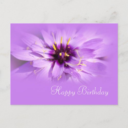 pretty purple daisy flower happy birthday postcard