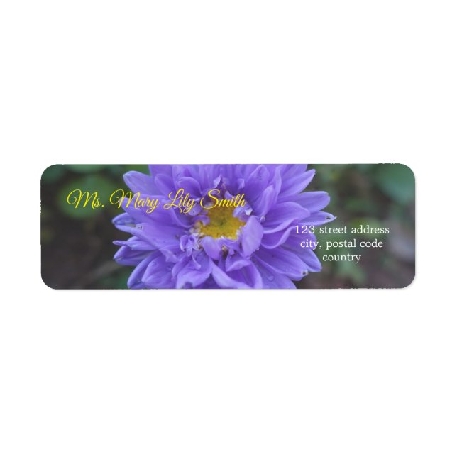 pretty purple daisy flowers label (Front)