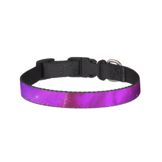 Pretty purple dog collar