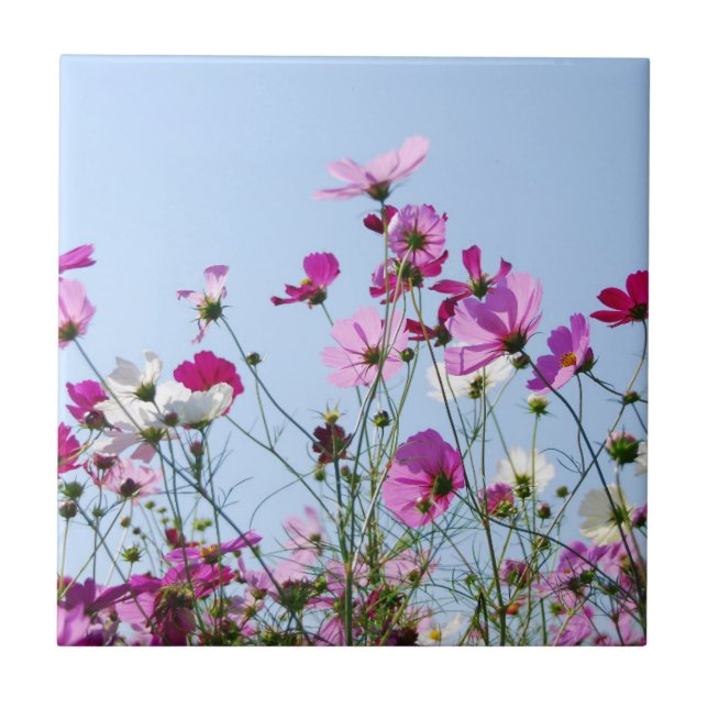 Pretty Purple Flower Meadow Ceramic Tile (Front)