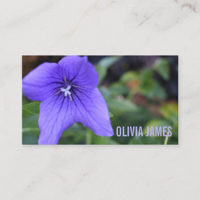 Pretty Purple Flowers Nature Garden Photography Business Card (Front)
