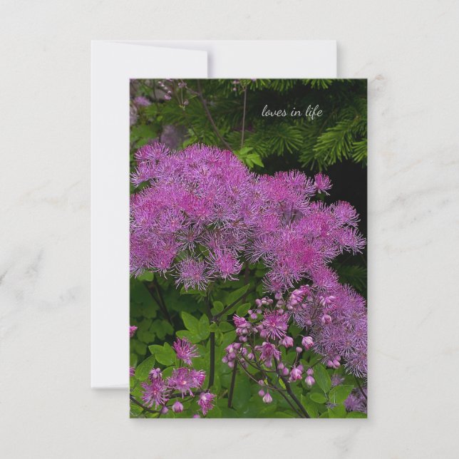 Pretty Purple Flowers Note Card (Front)
