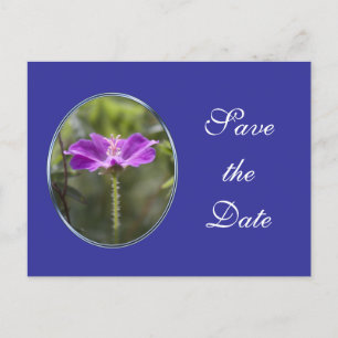 Pretty purple garden flower save the date wedding announcement postcard