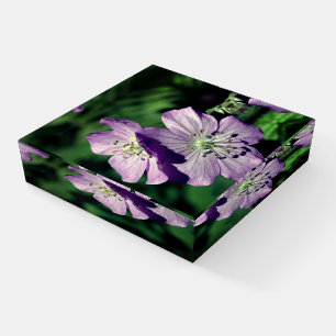 Pretty Purple Geranium Flower Pair Close Up Paperweight