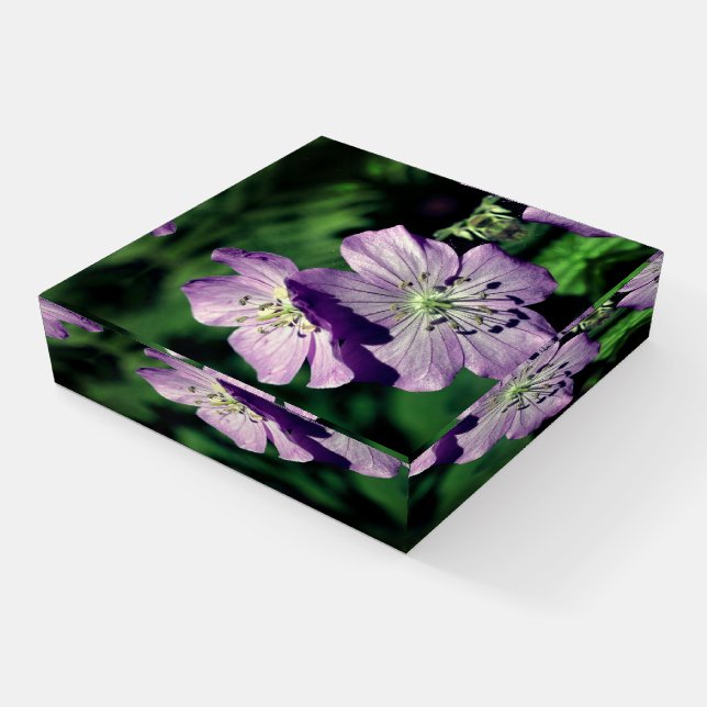 Pretty Purple Geranium Flower Pair Close Up  Paperweight (Angled)
