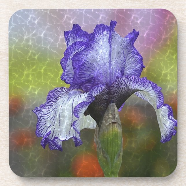 Pretty Purple Iris Drink Coaster (Front)