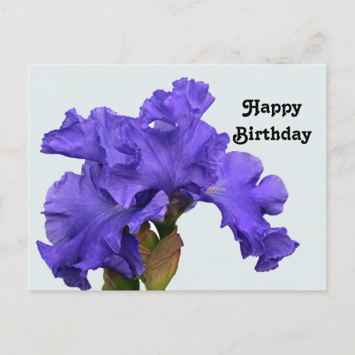 Pretty Purple Iris Floral Photo Birthday Postcard