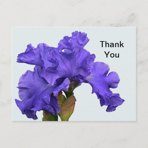 Pretty Purple Iris Floral Photo Thank You Postcard