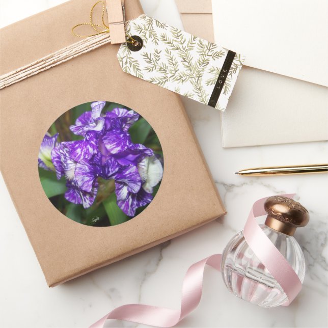 Pretty Purple Iris Flower  Classic Round Sticker (Gifting)