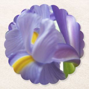 Pretty Purple Iris Flower Paper Coaster