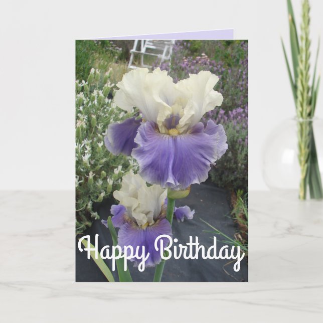 Pretty Purple Iris Flower Photo Birthday Card (Front)