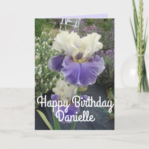 Pretty Purple Iris Flower Photo Birthday Card