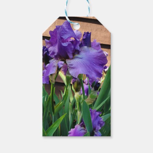 Pretty Purple Iris Flowers To and From Gift Tags
