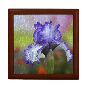 Pretty Purple Iris Gift Box