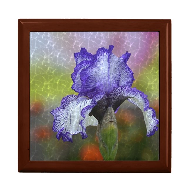 Pretty Purple Iris Gift Box (Front)