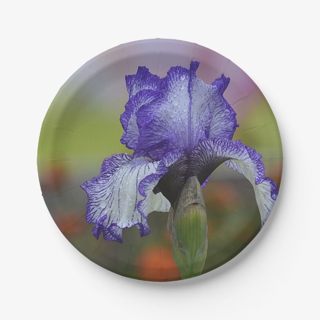 Pretty Purple Iris Paper Plates (Front)