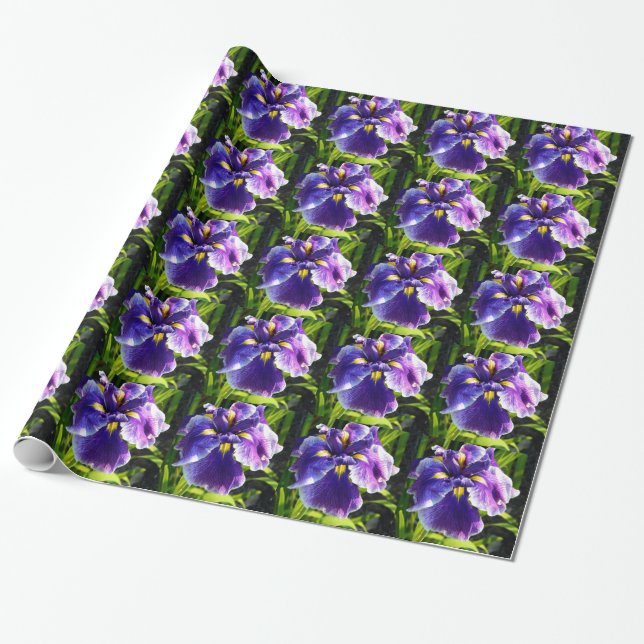 Pretty Purple Iris Wrapping Paper (Unrolled)