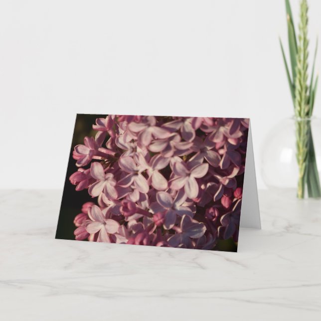 Pretty Purple Lilacs Greeting Card (Front)
