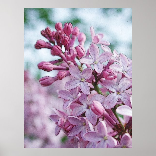 Pretty Purple Lilacs Poster (Front)
