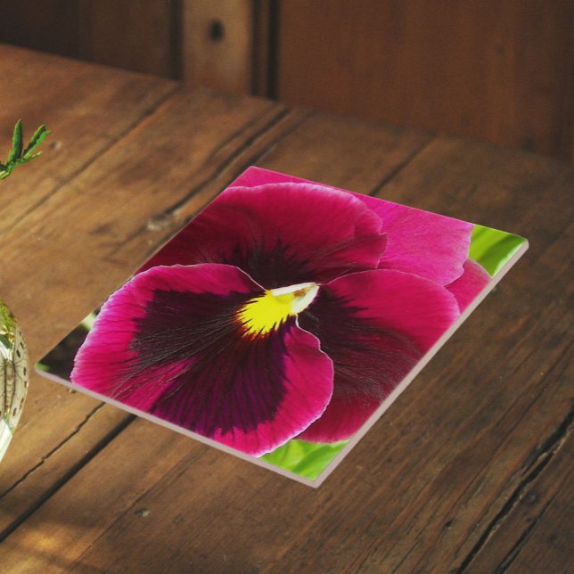 Pretty Purple Pansy Floral Ceramic Tile (In Situ)