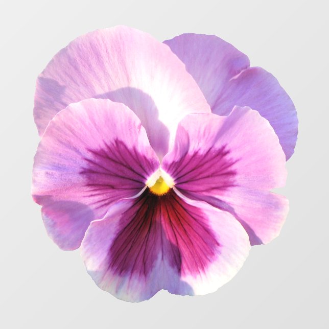 Pretty Purple Pansy Flower Wall Decal (Front)