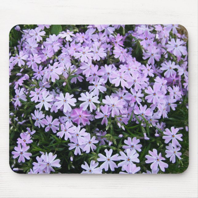 Pretty Purple Phlox Mouse Pad (Front)