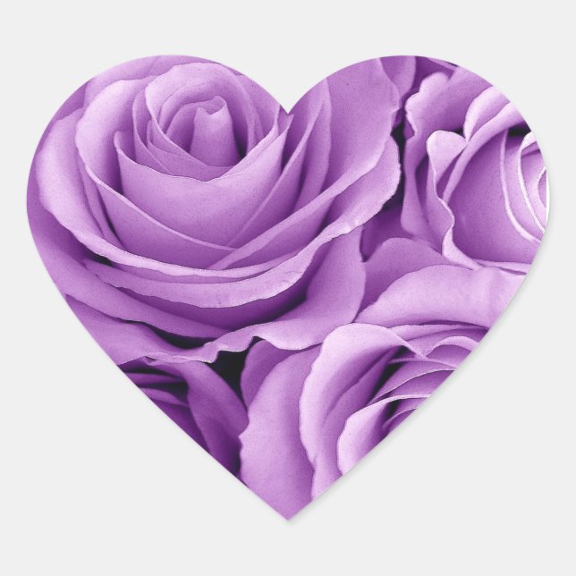 Pretty Purple Roses Heart Sticker (Front)