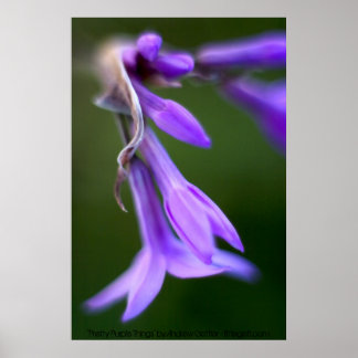 "Pretty Purple Things' by Andrew Gettler Poster