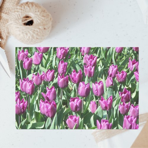 Pretty Purple Tulips Floral Tissue Paper
