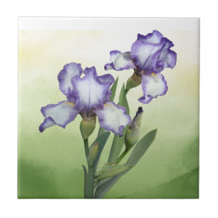 Pretty Purple White Iris Garden Flower  Art Ceramic Tile