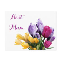 Pretty purple yellow pink tulip flowers for mom