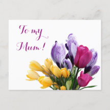  Pretty purple yellow pink tulip flowers for mom