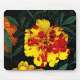 Pretty Red and Yellow Marigold Flowers Mouse Pad