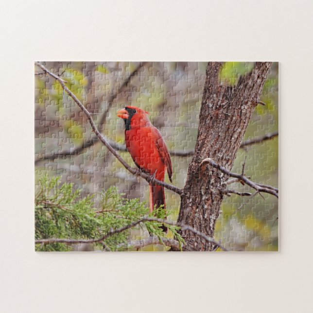 Pretty Red Cardinal Bird Nature Puzzle (Horizontal)